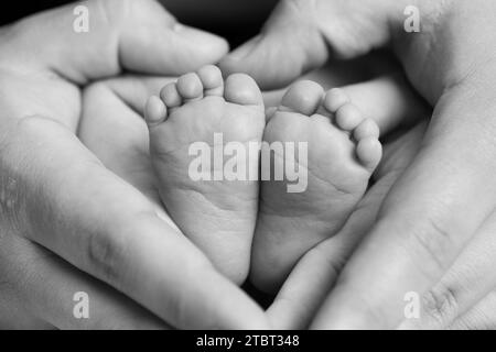 Pieds de bébé nouveau-né bercés dans des mains en forme de cœur en noir et blanc Banque D'Images