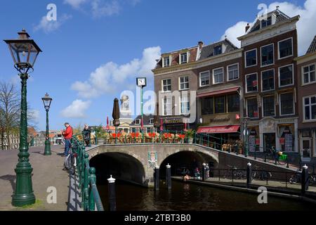 Maisons et pont, Leiden, Hollande du Sud, pays-Bas Banque D'Images