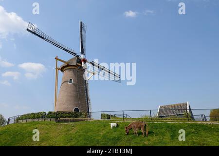 Moulin de Eersteling, Hoofddorp, Haarlemmermeer, Hollande du Nord, pays-Bas Banque D'Images