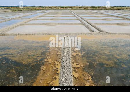 Salines d'eau de mer, Guérande, Loire-Atlantique, pays de la Loire, Bretagne, France Banque D'Images