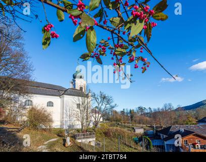 Gutenstein, église de pilgramme et monastère servite Mariahilfberg dans les Alpes de Vienne, Basse-Autriche, Autriche Banque D'Images