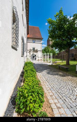 Centre historique de la ville de Fladungen dans le Rhön, district de Rhön-Grabfeld, Réserve de biosphère de Rhön, Basse-Franconie, Franconie, Bavière, Allemagne Banque D'Images