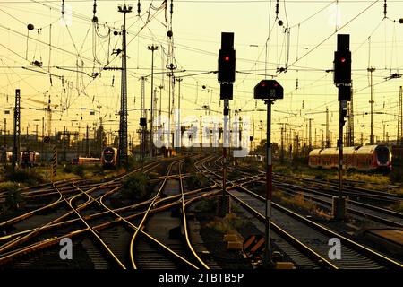 Allemagne, Hesse, Francfort, gare principale, système de voies, traversée de piste, soirée Banque D'Images