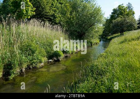 Allemagne, Bavière, haute-Bavière, Neuötting, aire de loisirs, AM Bärenbach, ruisseau, banque, arbres à feuilles caduques, buissons, meadow Banque D'Images