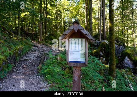 Allemagne, Bavière, haute-Bavière, Berchtesgaden, Schönau am Königssee, parc national, forêt de montagne, sentier de randonnée, panneau d'information Banque D'Images