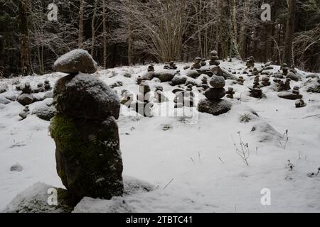 Un spectacle d'enchantement serein : neige et mousse recouvrent ces rochers mystiquement empilés, joyaux cachés dans le havre de neige de Pokainu Mezs. Banque D'Images