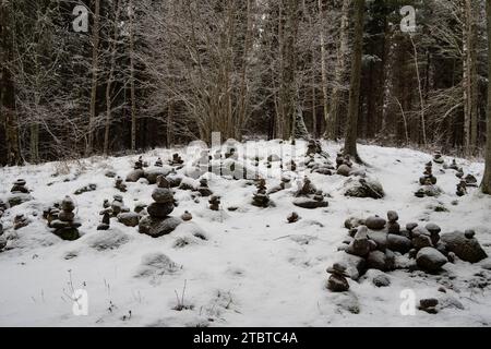 La neige et la mousse tissent leur danse silencieuse sur des rochers empilés, incarnant l'allure mystique de la nature au cœur des bois enneigés de Latvija. Banque D'Images