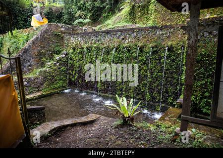 Un petit temple utilisé pour les ablutions saintes, enchanté et couvert de mousse, avec des offrandes, de belles statues et bien plus encore, des sources saintes et de l'eau bénite à Bali, en Indonésie Banque D'Images