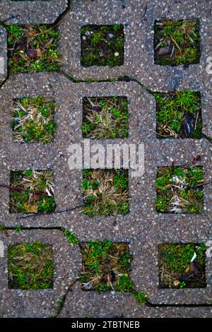 Détail de la chaussée à motifs mélange des éléments urbains et naturels d'en haut Banque D'Images