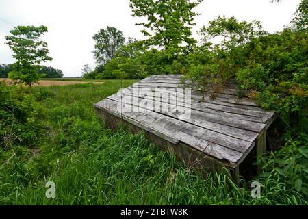 Structure en bois abandonnée récupérée par la nature dans l'Indiana rural Banque D'Images