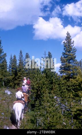 JASPER, AB - JUILLET 1954 : vue générale en tant que groupe de riders d'aventure à travers le sentier Jasper à cheval vers juillet 1954 à Jasper, Alberta, Canada. (Photo de Hy Peskin) Banque D'Images