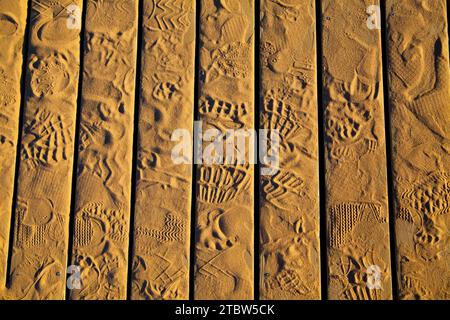 Empreintes de pas ensoleillées sur des planches en bois dans l'Empire Michigan Banque D'Images