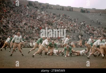 SOUTH BEND, IN - AVRIL 16 : l'équipe des anciens de notre Dame (blanc) joue contre l'équipe universitaire de notre Dame (vert) lors d'un match des anciens le 16 avril 1957 au notre Dame Stadium à South Bend, Indiana. (Photo de Hy Peskin) Banque D'Images