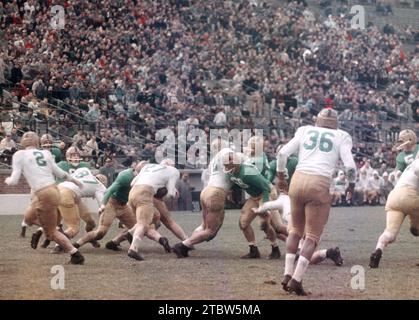 SOUTH BEND, IN - AVRIL 16 : l'équipe des anciens de notre Dame (blanc) joue contre l'équipe universitaire de notre Dame (vert) lors d'un match des anciens le 16 avril 1957 au notre Dame Stadium à South Bend, Indiana. (Photo de Hy Peskin) Banque D'Images