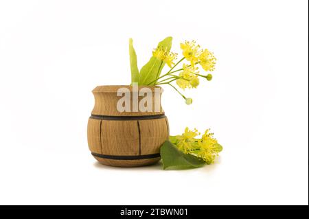 Petit pot en bois de tilleul jaune fraîchement cueillies (tilia) fleurs et feuilles, également appelé et citron vert sur un fond blanc Banque D'Images