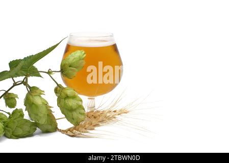 Élégant verre de lager ou de tirant d'eau froid avec une tête froide le long de la branche de houblon vert et d'orge sur un fond blanc Banque D'Images