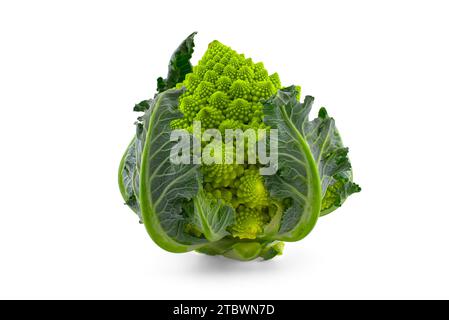 Chou-fleur frais romanesco isolé sur fond blanc Banque D'Images