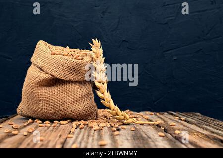 Les graines de blé débordent d'un sac de jute et d'oreilles mûres sur une table en bois rustique, une alimentation saine et un nouveau concept de récolte de grain avec espace de copie Banque D'Images