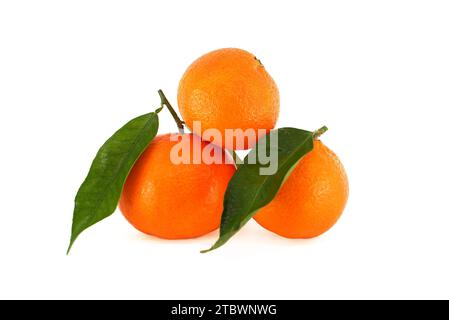 Mandarines, clémentines ou fruits orange mandarin avec feuilles vertes isolées sur fond blanc Banque D'Images