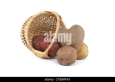 Pomme de terre en forme de coeur à côté d'un panier en osier avec des pommes de terre de différents types et couleurs isolées sur fond blanc Banque D'Images