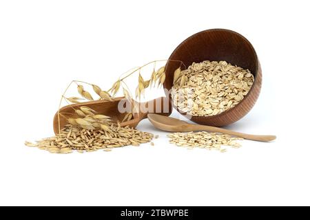 Grains d'avoine avec des coques ou des enveloppes dans une pelle en bois et gruaux d'avoine roulés et aplatis en flocons isolés sur fond blanc. Agriculture, alimentation et Banque D'Images