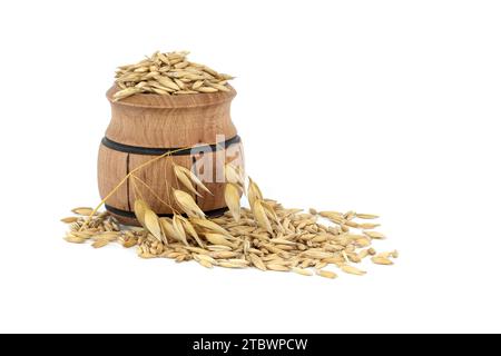 Tas de grains d'avoine biologique avec des coques ou des enveloppes dans un petit tonneau en bois isolé sur fond blanc. Grains d'avoine entiers avec enveloppe. Agriculture, alimentation Banque D'Images