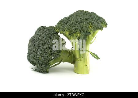 Têtes de fleurs de brocoli isolées sur fond blanc, pleine profondeur de champ Banque D'Images