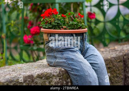 Jardinière bleu jeans avec fleurs rouge écarlate Pelargonium peltatum. Décoration de jardin vintage Banque D'Images