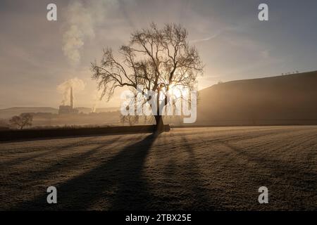 Silhouette arbre et cimenterie Castleton Derbyshire Banque D'Images