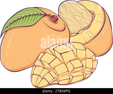 Mangue mûre colorée Illustration de Vecteur