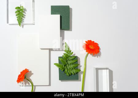 Vue de dessus de l'affichage du podium 3D, fond blanc avec des fleurs de gerbera et des feuilles de fougère. Piédestal minimal pour la beauté, produit cosmétique. Espace pour la copie. Banque D'Images