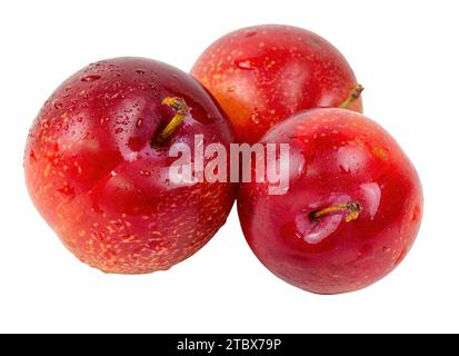 Macro de fruits de prune frais isolé sur blanc Banque D'Images