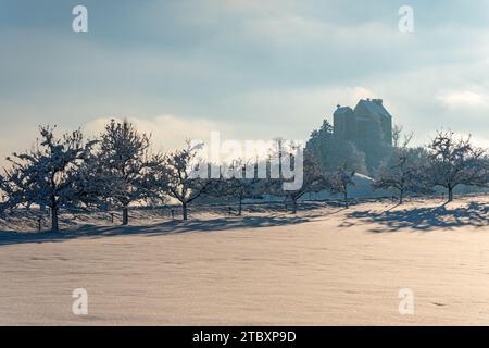 Paysage hivernal enneigé et magnifique à Waldburg en haute-Souabe. Vue sur le château enneigé Banque D'Images