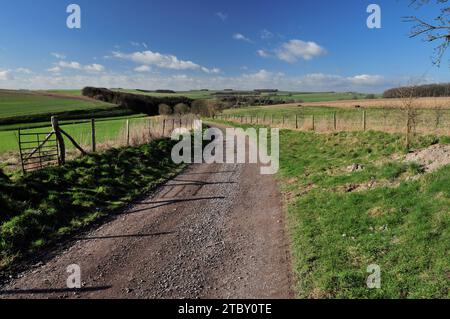 Un chemin de craie sur le Wiltshire Downs au-dessus de Berwick St James, regardant vers les lynchets de bande sur la colline de gauche. Banque D'Images