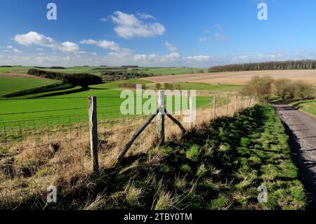 Un chemin de craie sur le Wiltshire Downs au-dessus de Berwick St James, regardant vers les lynchets de bande sur la colline de gauche. Banque D'Images