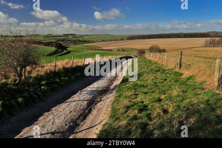 Un chemin de craie sur le Wiltshire Downs au-dessus de Berwick St James, regardant vers les lynchets de bande sur la colline de gauche. Banque D'Images