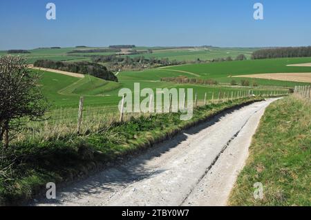 Un chemin de craie sur le Wiltshire Downs au-dessus de Berwick St James, regardant vers les lynchets de bande sur la colline de gauche. Banque D'Images