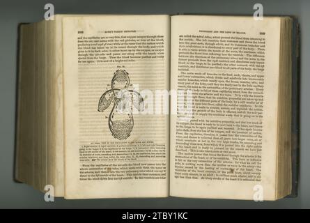 Vieux livre, vintage et journal médical pour l'étude de la santé ou l'anatomie en manuscrit, écriture ancienne ou littérature contre un fond de studio Banque D'Images