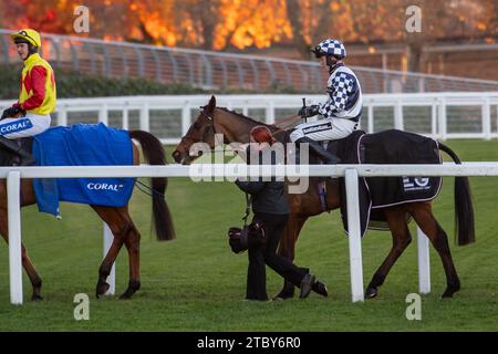 Ascot, Royaume-Uni. 25 novembre 2023. Horse Corrigeen Rock monté par le jockey Patrick Wadge après avoir couru dans le Jim Barry Wines Hurst Park handicap Steeple Chase à l'hippodrome d'Ascot lors du meeting November Racing Saturday. Propriétaire de la Caledonian Racing Society. Entraîneur Lucinda Russell, Kinross. Éleveur J J Howlett. Commanditaire Ian McLeod & Co Ltd Crédit : Maureen McLean/Alamy Banque D'Images