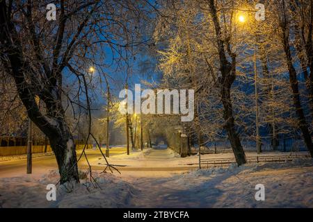 Nuit déserte rue de la ville en hiver gelé. Arbres enneigés, sentier, lanternes brûlantes. Atmosphère fabuleuse de la ville d'hiver de nuit. Noël ou nouvel an e Banque D'Images