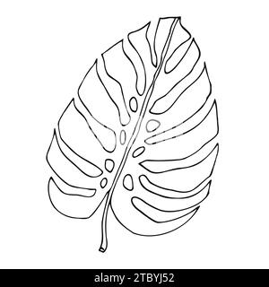 Monstera contour feuilles tropicales, élément de conception de verdure feuilles Monstera, plante de jungle. Line art monstera feuille pour livre de coloriage, logo ou scrapbook d Illustration de Vecteur