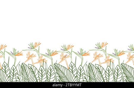 Oiseau de paradis fleur tropical strelitzia floral sans couture boarder avec des couleurs vertes et orange. Fond vectoriel pour impressions, tissu, papiers peints, wr Illustration de Vecteur