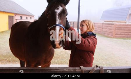 Une fille pose une bride sur un cheval brun. Gros plan. Banque D'Images