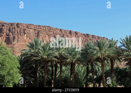 Al Ula Oasis en Arabie Saoudite Banque D'Images