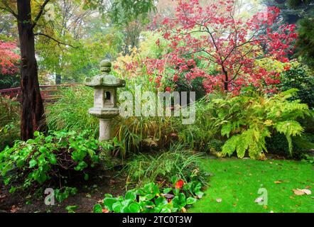 Couleur de la feuille d'automne de l'érable japonais dans le jardin japonais de Leverkusen : lanterne à distance prairie d'herbe verte, un peu brumeux et sentier de jardin à l'est Banque D'Images