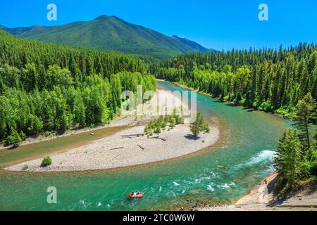 Les chevrons sur le milieu fork river le long de la frontière du parc national des Glaciers, près de Essex, Montana Banque D'Images