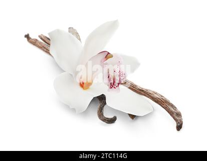 Gousses de vanille et belle fleur isolée sur blanc Banque D'Images