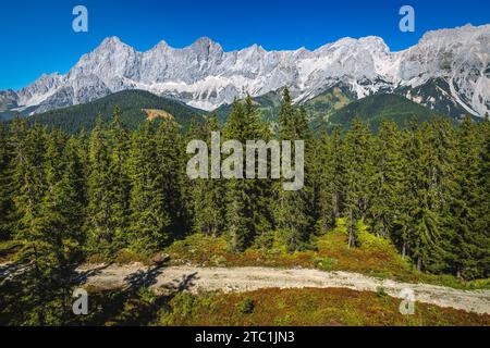 Belle vue aérienne avec forêt de pins et haute crête de montagne Dachstein, Ramsau am Dachstein, Styrie, Autriche, Europe Banque D'Images