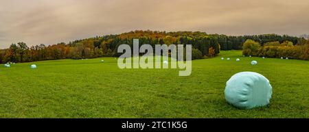 Panorama de balles de foin sur un champ vert et une forêt en arrière-plan Banque D'Images