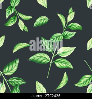 Aquarelle motif sans couture de feuilles fraîches de menthe poivrée isolé sur fond. Détail des produits de beauté et ensemble botanique, cosmétologie et médecine. Pour Banque D'Images